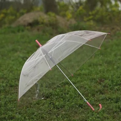 Transparent umbrella Princess clear umbrella bubble umbrella